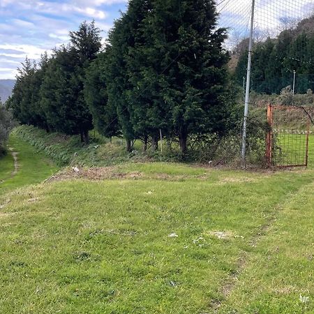 Villa Nastasi San Pier Niceto エクステリア 写真